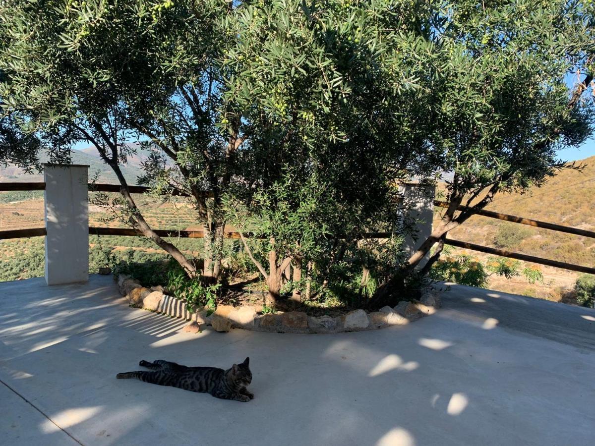 Cortijo Samadhi Guest House Lanjaron Ngoại thất bức ảnh